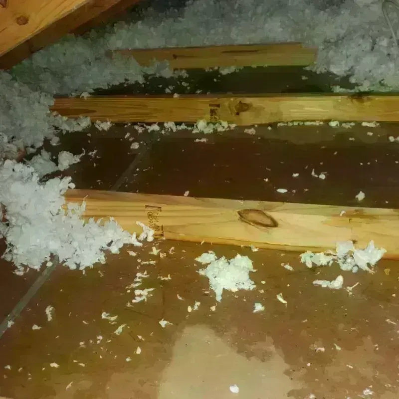 Attic Water Damage in Prairie Village, KS